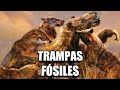 😳 Trampas fósiles en el Nordeste de Brasil!!! #Tanques Naturales #Megagnammas
