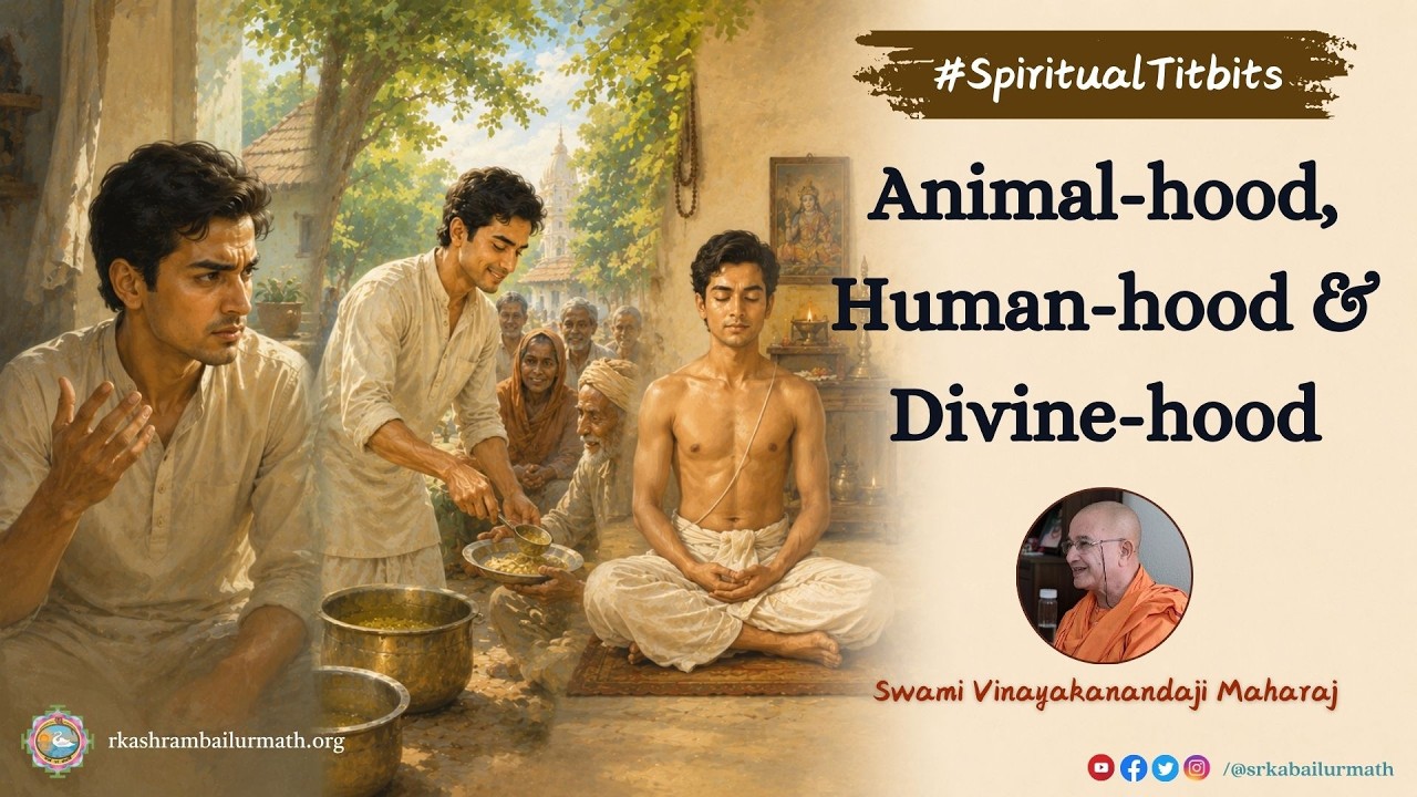 Animal hood, Human hood & Divine hood