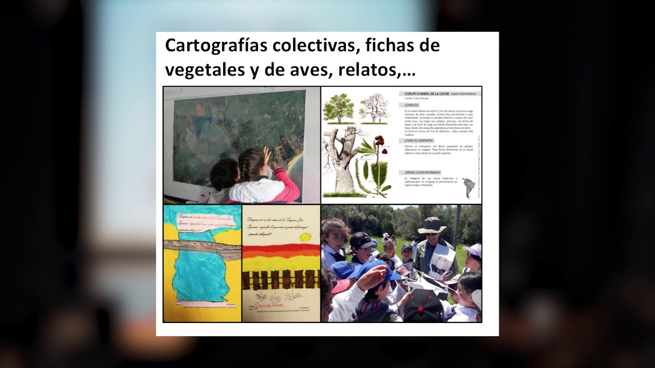 Trama CONECTA: Educación - Ana Laura Goñi