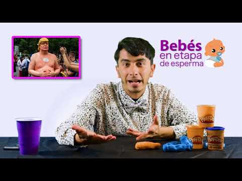 CON SELLO DE BEBÉ PROGRAMA 4