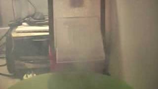 Picture 455.avi