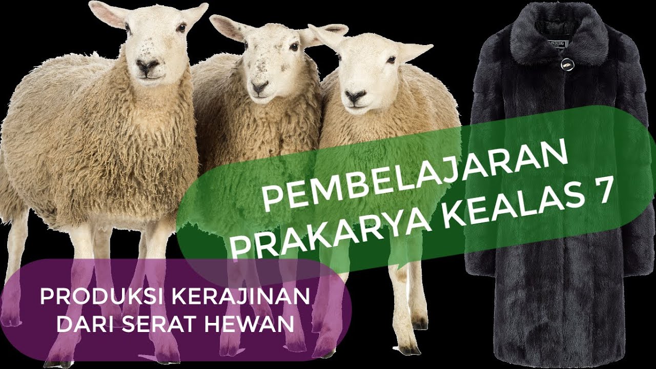 Pembelajaran Prakarya Kelas 7 3 Produksi Bahan Serat  