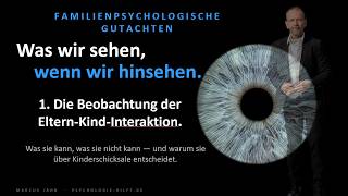 Familienpsychologische Gutachten - Interaktion zwischen Eltern Kind - Folge 1