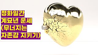 정화일간 2023년 계묘년 운세! 무너지는 자존감을 지켜줘