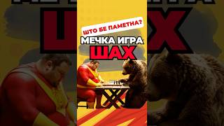 Мечка игра шах | Жими таквото е паметнa!!! 3:2 ја водам во партии #macedonia #humor