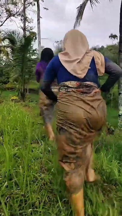 Gadis Desa Cantik Mandi di Jamban Suasana Pedesaan yang Asri #desa #mandi #running #satisfying