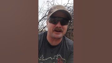 Bobcat#12! Big desert Tom! #trapping #trapper #bobcat #trapline #ATA #cagetrap #lures #baits #trap