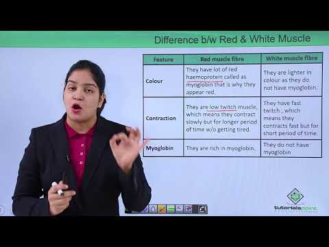 Locomotion and Movement  - Difference between red and white muscle (Hindi)