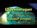 Шрекингерит - урановый минерал | Schröckingerite