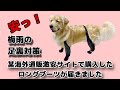 某海外通販激安サイトで購入したロングブーツが届きました
