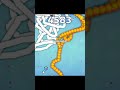 Snake Clash.io Big Snake 6900 Defeat Boss 6400 #shortsfeed#snakeioneweventgameplay#shortsfeed#shorts