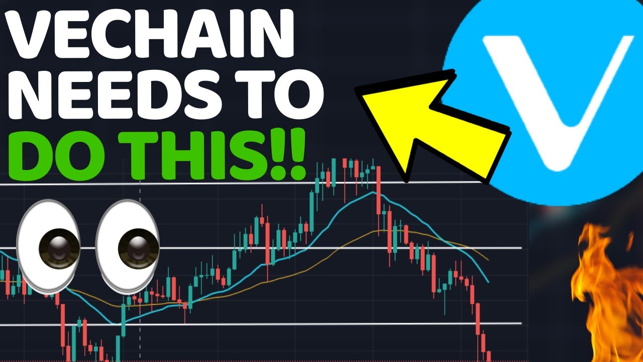 VECHAIN (VET) HOLDERS PLEASE WATCH THIS! DAILY VET UPDATE CRYPTO