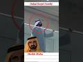Dubai Royal Family|Dubai Ruler Sheikh Mohammed bin Rashid Al Maktoum#lifestyle in#dubai#shorts