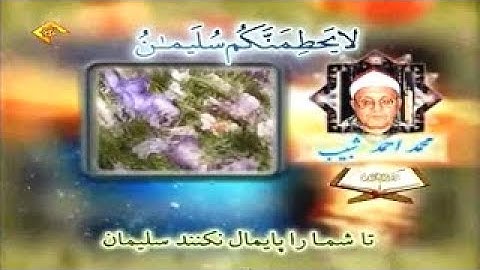 النمل 15-31 تلاوة صوتية من روائع الشيخ محمد أحمد شبيب