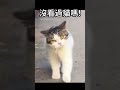 【動物配音】你瞅啥 #動物 #配音 #搞笑 #可愛 #shorts