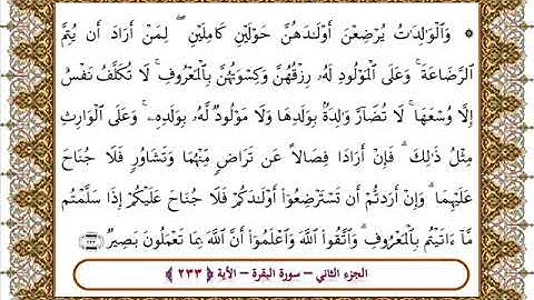 سورة البقرة الأية 233  بصوت الشيخ على جابر
