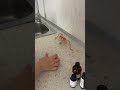 автопарфюм своими руками #автопарфюм #свечи #handmade