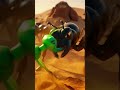 Tiny ants… massive war 😳🐜 | 4K Animated Ant Battlefield (Unreal Visuals)