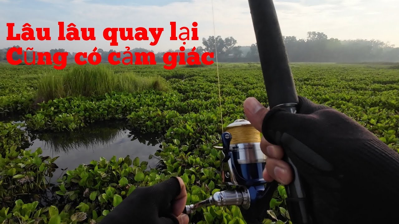 CÂU CÁ LÓC - MẪU LƯỠI HỘT MÍT KHÔNG LÀM THẤT VỌNG