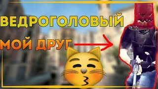 ВЕДРОГОЛОВЫЙ МОЙ ДРУГ | НАРЕЗКА СО СТРИМА