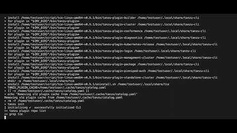 VMware Tanzu Community Edition and Octant - Step by step walkthrough