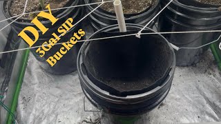 3Gal SIP buckets!