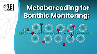 Is metabarcoding a viable alternative for benthic monitoring on fish farms?