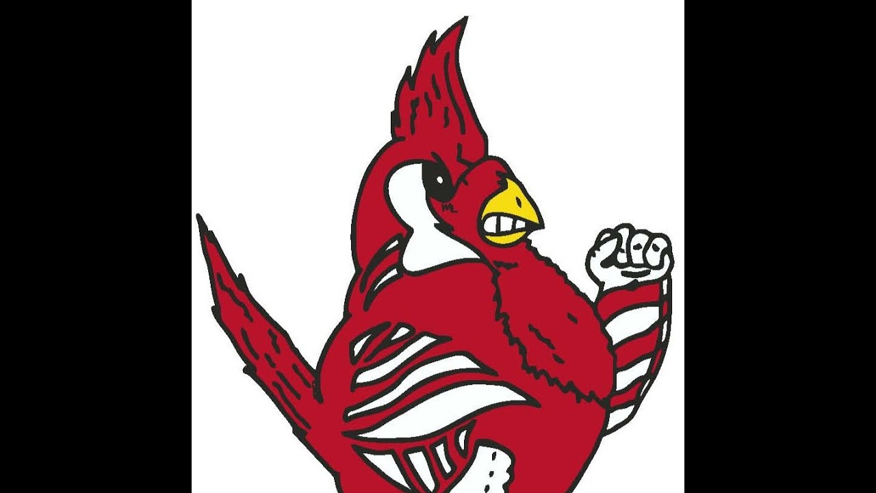 CSD Activities Live Stream