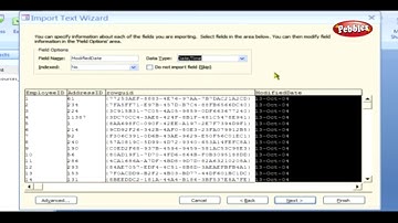 Importing Data from a Text File || Microsoft Access Tutorial for Beginners || ACCESS  Presentation