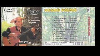 Video thumbnail of "El Negro Palma: 04.  La traicionera"