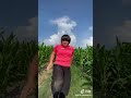 すげー動ける中国のぽっちゃり娘【覇気持ち】