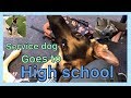 How high school really is with a service dog// OUR FIRST DAY