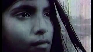 Stop Genocide, a documentary  film on 1971 by Zahir Raihan