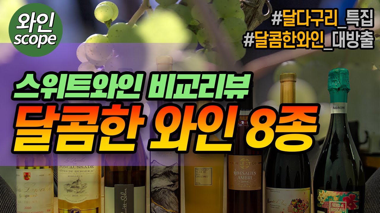 달콤한 와인의 세계 집중 탐구 - 스위트 와인 8종 리뷰