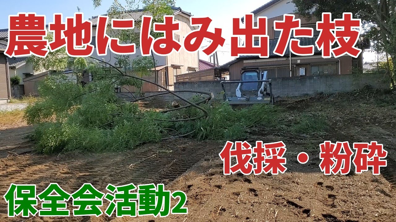 【保全会活動2】農地に隣接するお宅からのびた枝を伐採・粉砕してトラクターでの作業が出来るようにしました！