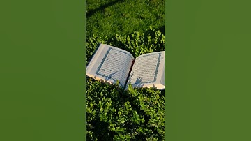 راحة النفسية /سمع #القرءن #المصحف التلاوة القرآن الكريم