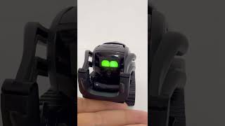 Reason why I bought this robot #cute#ai#pet#vector