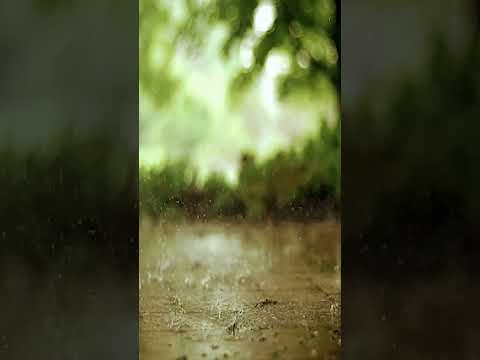 Kulhu Allah Hu Ahead Allah Hussamad Trending Nature Beatifulnature Shortsviral Duet Islam