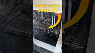 Our $200 Gaming PC was INFESTED…. It’s time for a fresh start. #pcrepair #pcbuild #gamingpc