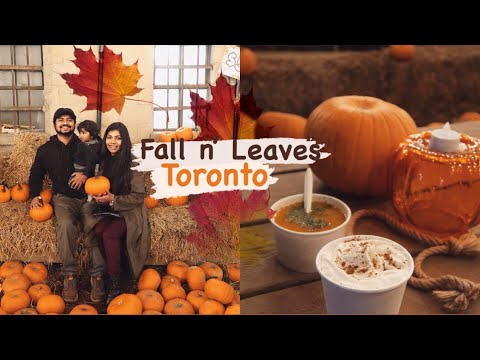 Fall colours in