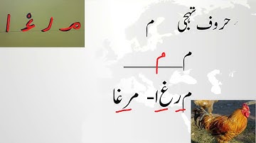 Lesson#45 letters of Urdu introduction sound and new words with meemاردو حروف تہجی م haroof e tahaji