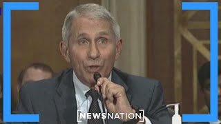 Fauci faces questions on COVID origin, protocols | NewsNation Now