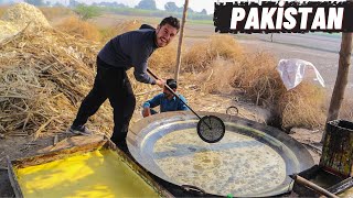 : PAKISTAN ILGINC K"OY MESLEKLERI (Bilinmeyen Y"uz"u) - 98