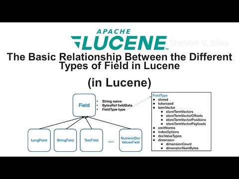The Basic Relationship Between the Different Types of Field in Lucene (in Lucene)