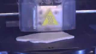 3-D Printed Nittany Lion at PSU's Learning Factory