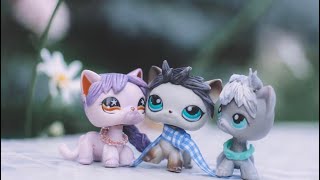 картинка: LPS: МОЯ КОЛЛЕКЦИЯ СТОЯЧИХ КОШЕК //MY SHORTHAIR CATS COLLECTION