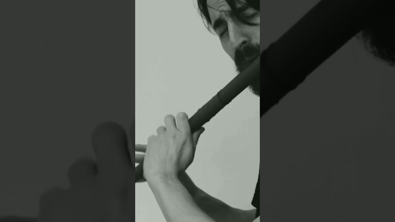 3d printed budget irish flute