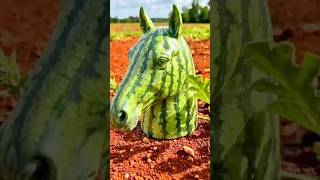 İnanılmaz karpuz izleyin 🍉 #karpuz #tarım #shorts #trending #viral #keşfet #fyp