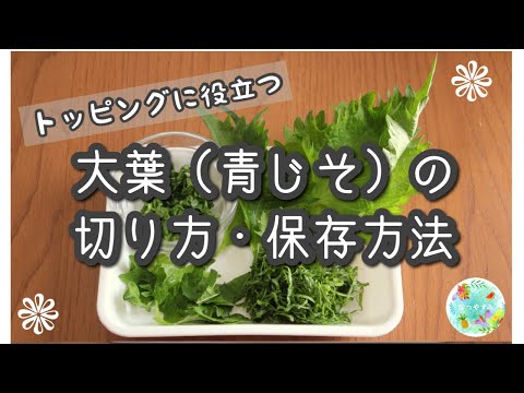【今すぐ使える】大葉（青じそ）の本当の切り方／料理のプロが教えます
