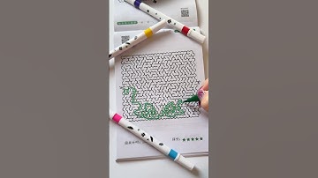 Maze Challenge _ 12 #maze #mazegaming #puzzlegame #fidgettoys #labyrinth